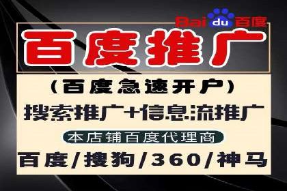 百度推广排名案例报告：某行业巨头如何运用其占领市场高地